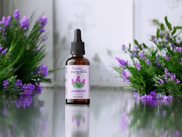 Rosemary, Peppermint, Lavender & Chamomile - Image 3