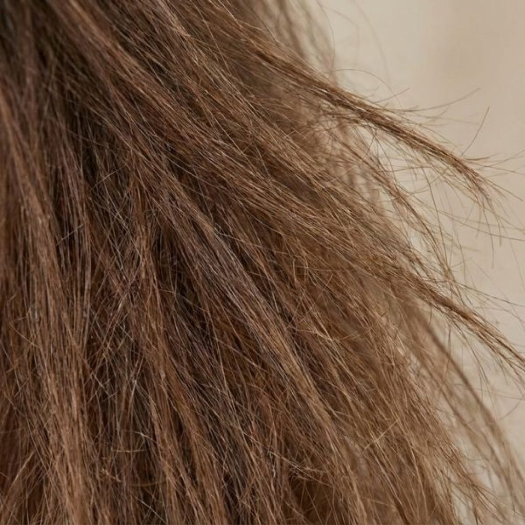 Dry & Damaged Hair